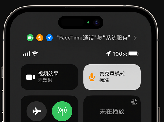 浦东苹果授权维修网点分享iPhone在通话时让你的声音更清晰 