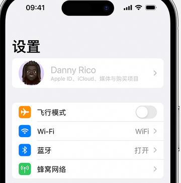 浦东appleID维修服务iPhone设置中Apple ID显示为灰色无法使用 