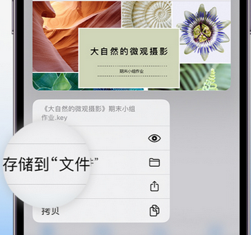 浦东apple维修中心分享iPhone文件应用中存储和找到下载文件