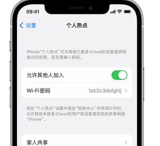 浦东apple服务站点分享iPhone上个人热点丢失了怎么办 