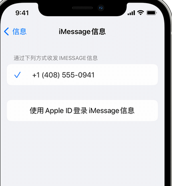 浦东apple维修iPhone上无法正常发送iMessage信息 