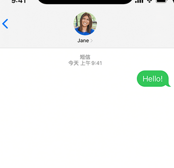 浦东apple维修iPhone上无法正常发送iMessage信息