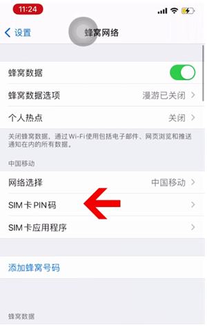 浦东苹果14维修网分享如何给iPhone14的SIM卡设置密码 