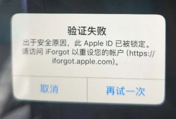 浦东iPhone维修分享iPhone上正常登录或使用AppleID怎么办 