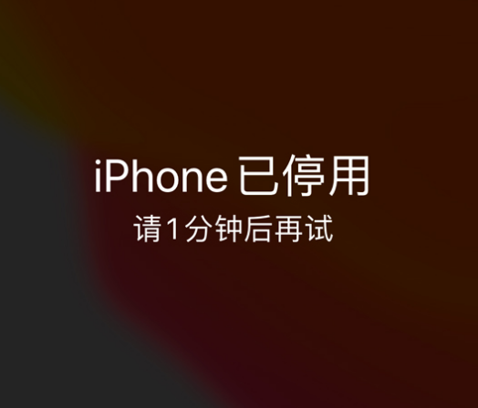 浦东苹果手机维修分享:iPhone 显示“不可用”或“已停用”怎么办？还能保留数据吗？ 