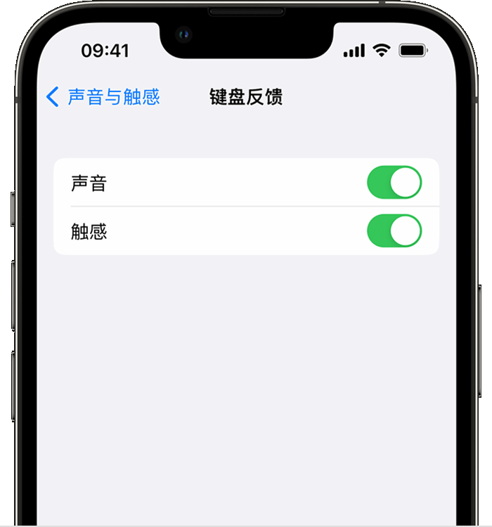 浦东苹果14维修店分享如何在 iPhone 14 机型中使用触感键盘 