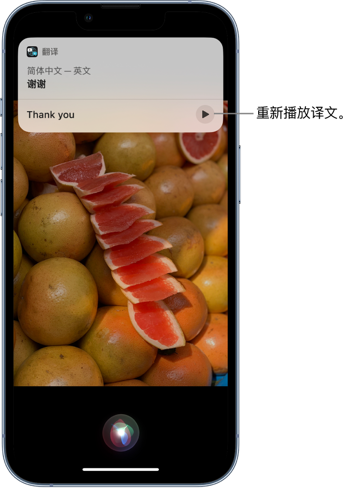 浦东苹果14维修分享 iPhone 14 机型中使用 Siri：了解 Siri 能帮你做什么 