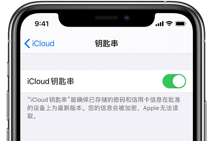 浦东苹果手机维修分享在 iPhone 上开启 iCloud 钥匙串之后会储存哪些信息 