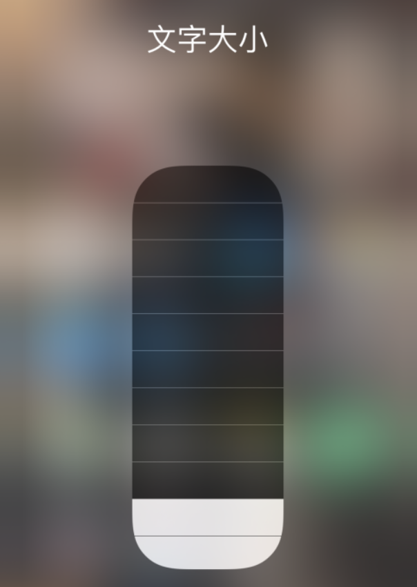 浦东苹果手机维修分享小技巧：在 iPhone 控制中心快速调节字体大小 