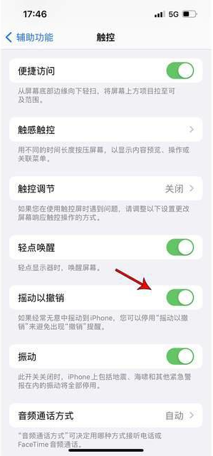 浦东苹果手机维修分享iPhone手机如何设置摇一摇删除文字 